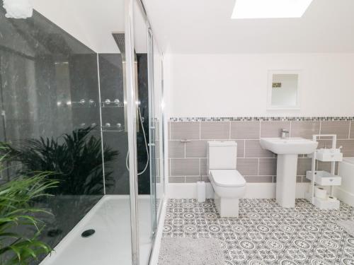 霍利黑德Lyngaran House的浴室配有卫生间、盥洗盆和淋浴。