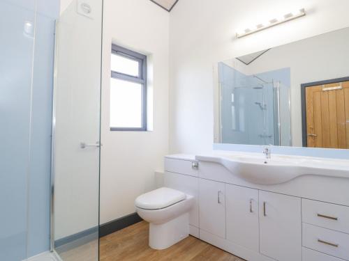 格拉斯顿伯里Bluebell的一间带水槽、卫生间和镜子的浴室
