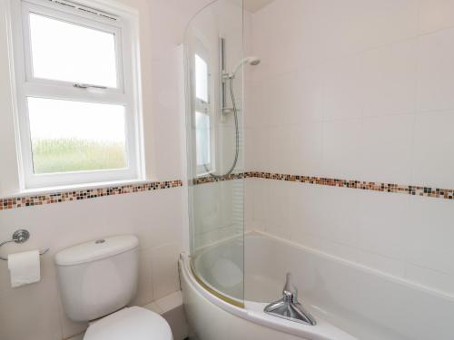 奥本Grebe Cottage的带淋浴、卫生间和盥洗盆的浴室