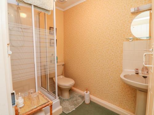 萨默顿Lower Farm Annexe的浴室配有卫生间、盥洗盆和淋浴。