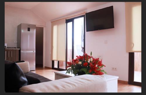加拉奇科Apartamento Germán的客厅配有沙发和花瓶