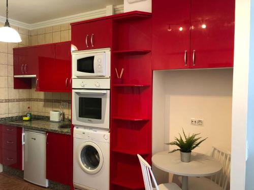 加拉奇科Apartamento La Penca 3 Garachico的厨房配有红色橱柜、洗衣机和烘干机