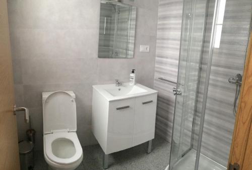 马拉加Apartamento de una habitación的浴室配有卫生间、盥洗盆和淋浴。
