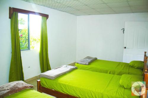 下博克特CASA MARLE的一间卧室设有两张绿色的床和窗户