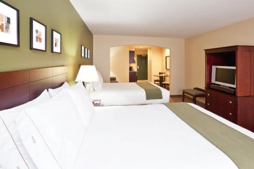 雅典阿森斯智选假日酒店的酒店客房设有两张床和电视。