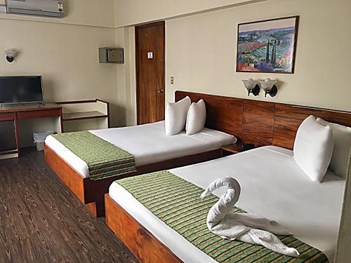 圣何塞Hotel Ambassador的酒店客房设有两张床,上面有天鹅