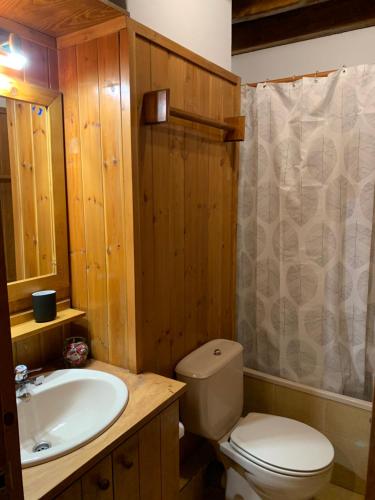 普拉德埃米塔Apartemento Aiguestortes的浴室配有卫生间、盥洗盆和淋浴。