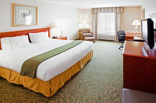 黑格斯敦黑格斯敦智选假日酒店及套房的酒店客房设有一张大床和一台电视。
