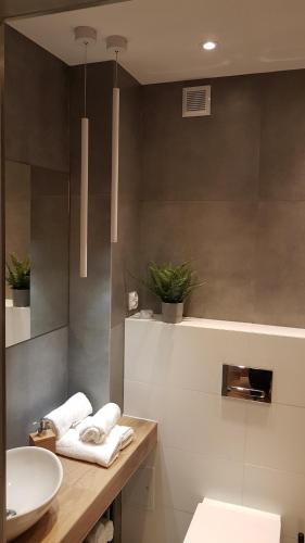 奥斯威辛Apartament Oświęcim的浴室配有盥洗盆和带毛巾的台面。