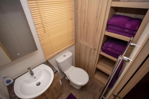 南塞尔尼Robin's Retreat的浴室配有卫生间、水槽和紫色毛巾