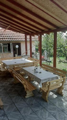 维尔蒂尼克Aleksandar Vila BR的露台上的大型木制野餐桌
