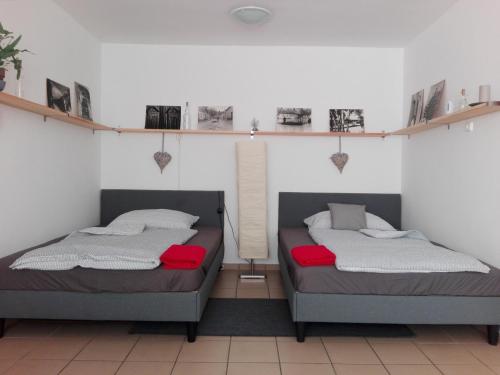 托考伊Borálom Stúdió Apartman Tokaj的墙上书架的房间里设有两张床