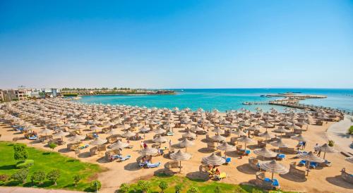 赫尔格达Sunrise Mamlouk Palace Resort的海滩上一大堆遮阳伞和椅子