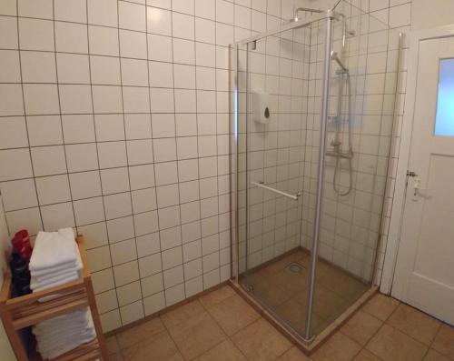 埃基斯蒂尔Finnstaðir的浴室里设有玻璃门淋浴