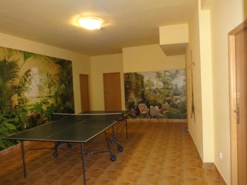 本津Apartamenty NOCLEGI BĘDZIN的一间设有乒乓球桌的房间