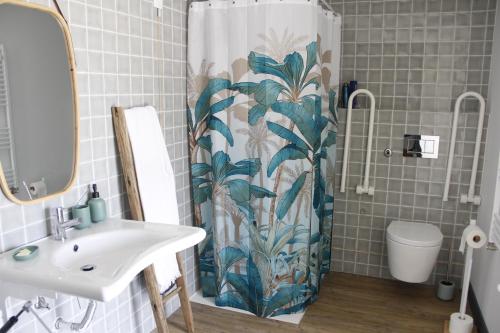 Castelo NovoPedra Nova的浴室配有带水槽的浴帘和卫生间