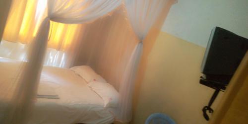 内罗毕Hotel Jaffers Nairobi的一间卧室配有一张带窗帘的床和电视。