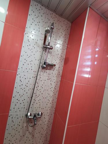 VratsaMountain view apartment的红色和白色墙壁淋浴