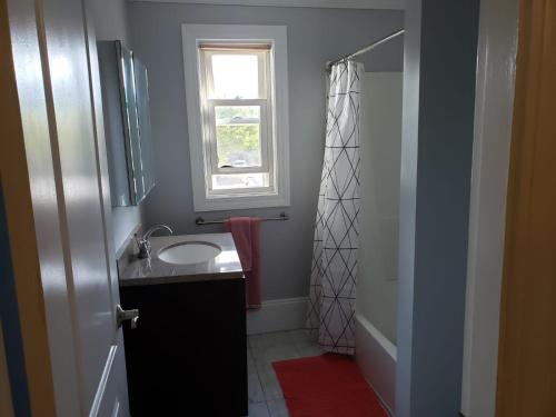 普罗维登斯shared house in Federal Hill的一间带水槽、窗户和淋浴的浴室