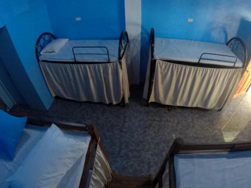 科隆Carillo guest house的蓝色墙壁客房中的两张单人床