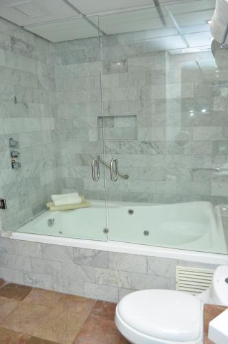 墨西哥城佩德雷加尔皇家酒店的带浴缸、卫生间和淋浴的浴室。