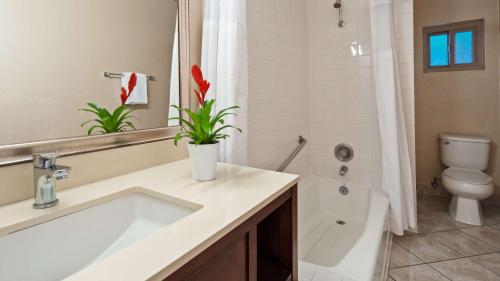 洛杉矶贝斯特韦斯特皇家宫殿酒店的白色的浴室设有水槽和卫生间。