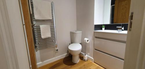 北安普敦Northampton 2 Bedroom Town Centre Apartment close to University, Hospitals, Brackmills的一间带卫生间和水槽的小浴室