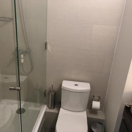 圣地亚哥Kennedy Premium Apartments Colorado的一间带卫生间和淋浴的小浴室