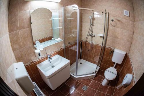 百乐·奥拉内斯蒂Hotel Trei Brazi的一间带水槽、淋浴和卫生间的浴室