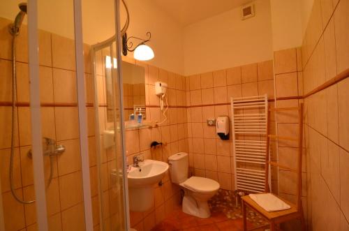 BetliarBaronka Bed & Breakfast & Bistrot的浴室配有卫生间、盥洗盆和淋浴。