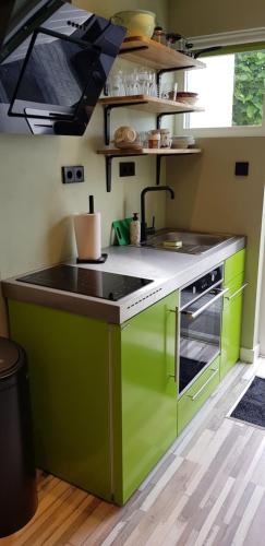 霍夫多普JaBaKi Green Studio的绿色厨房配有水槽和炉灶
