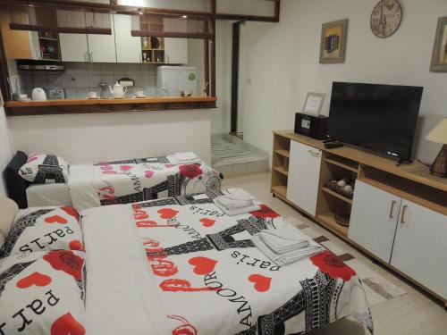 萨拉热窝APARTMAN AZRA的客厅配有两张床和一台平面电视