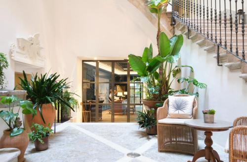 马略卡岛帕尔马Hotel Antigua Palma - Casa Noble的一间充满植物的客厅