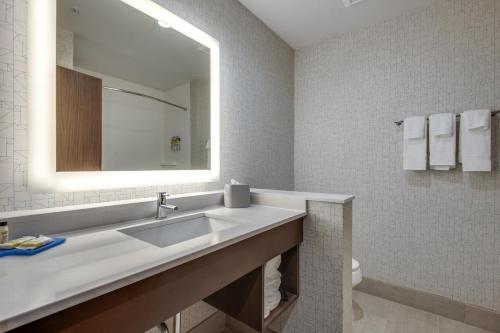 艾迪生Holiday Inn Express & Suites Dallas North - Addison, an IHG Hotel的一间带水槽和镜子的浴室