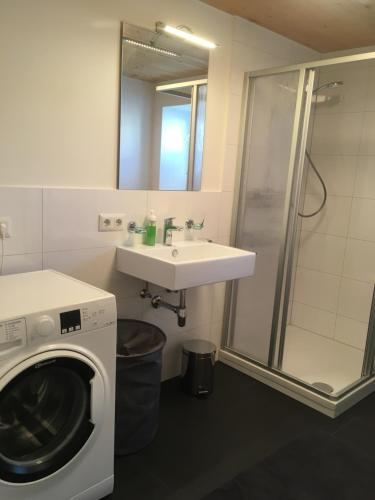 格齐斯Wohnung in zentraler Lage im Rheintal的一间带洗衣机和水槽的浴室