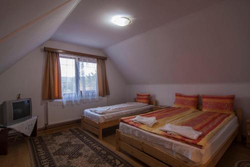 科瓦斯纳Dobra Haz的阁楼卧室配有两张床和电视。