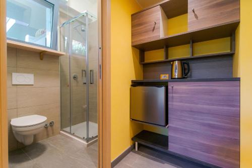 科莫Casa Livio - Rooms and studios的一间带卫生间和淋浴的浴室