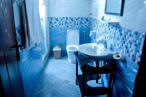 亚的斯亚贝巴梅洛迪酒店的蓝色瓷砖浴室设有水槽和卫生间