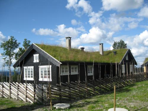 高尔Luxembu - 4 bedroom cabin的顶部有草屋顶的房子