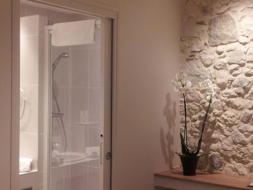 艾克斯莱班德拉库罗讷酒店的带淋浴的浴室和玻璃门