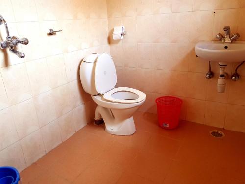博卡拉大使酒店的一间带卫生间和水槽的浴室
