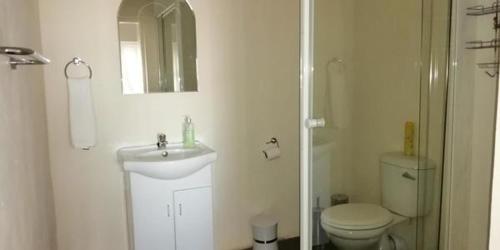 Tom BurkeThe Owl's Nest Guesthouse的白色的浴室设有卫生间和水槽。