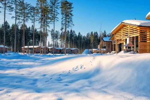 阿尔戈伊地区洛伊特基希Center Parcs Park Allgäu的小木屋旁的一堆积雪