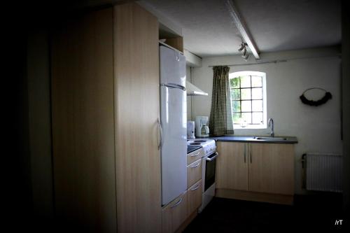 比伦德斯塔特里斯堪迪赫斯特公寓式酒店的厨房配有白色冰箱和水槽