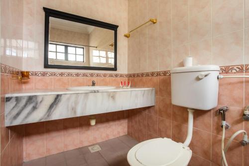 安顺Hotel Home 88的一间带卫生间、水槽和镜子的浴室
