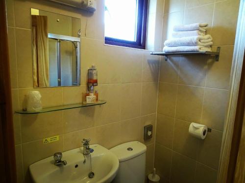 马莱格The Chlachain Inn的一间带水槽、卫生间和镜子的浴室