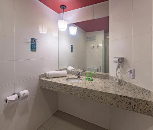 弗朗卡ibis Styles Franca的一间带水槽和镜子的浴室