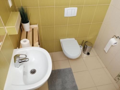 奥克宁卡Willa Rosiczka的浴室配有白色卫生间和盥洗盆。