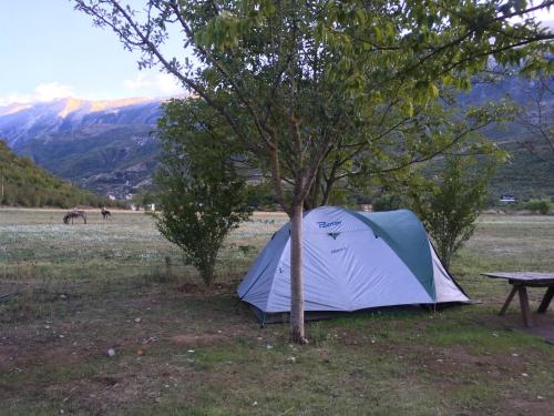 Albturist Ecocamping Përmet & Outdoor Sports Center平面图