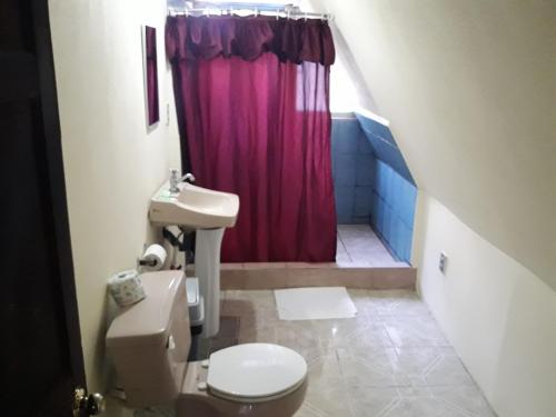 曼努埃尔安东尼奥拉科利纳酒店的一间带粉红色淋浴帘和卫生间的浴室